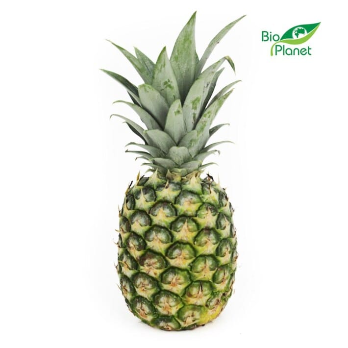 ANANAS ŚWIEŻY BIO (około 1