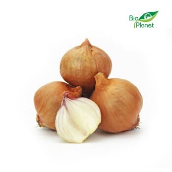 CEBULA SZALOTKA ŚWIEŻA BIO (około 0