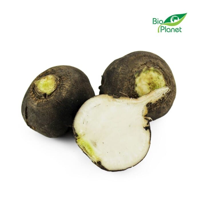 CZARNA RZEPA ŚWIEŻA BIO (POLSKA) (około 1