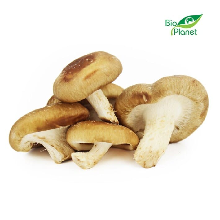 GRZYBY SHIITAKE ŚWIEŻE BIO (POLSKA) (około 0