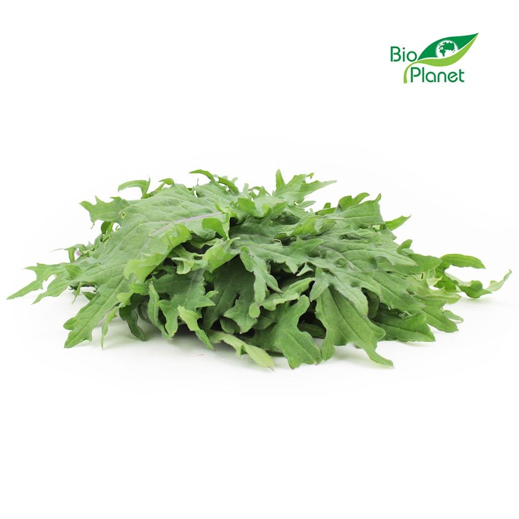 JARMUŻ ŚWIEŻY BIO (POLSKA) (około 0