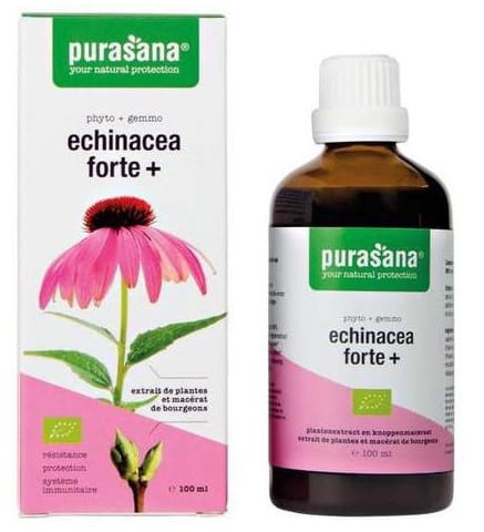 JEŻ&Oacute;WKA PURPUROWA (ECHINACEA FORTE) KROPLE BIO 100 ml - PURASANA