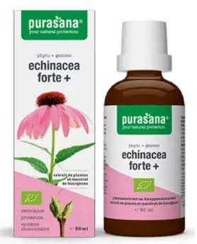 JEŻ&Oacute;WKA PURPUROWA (ECHINACEA FORTE) KROPLE BIO 50 ml - PURASANA