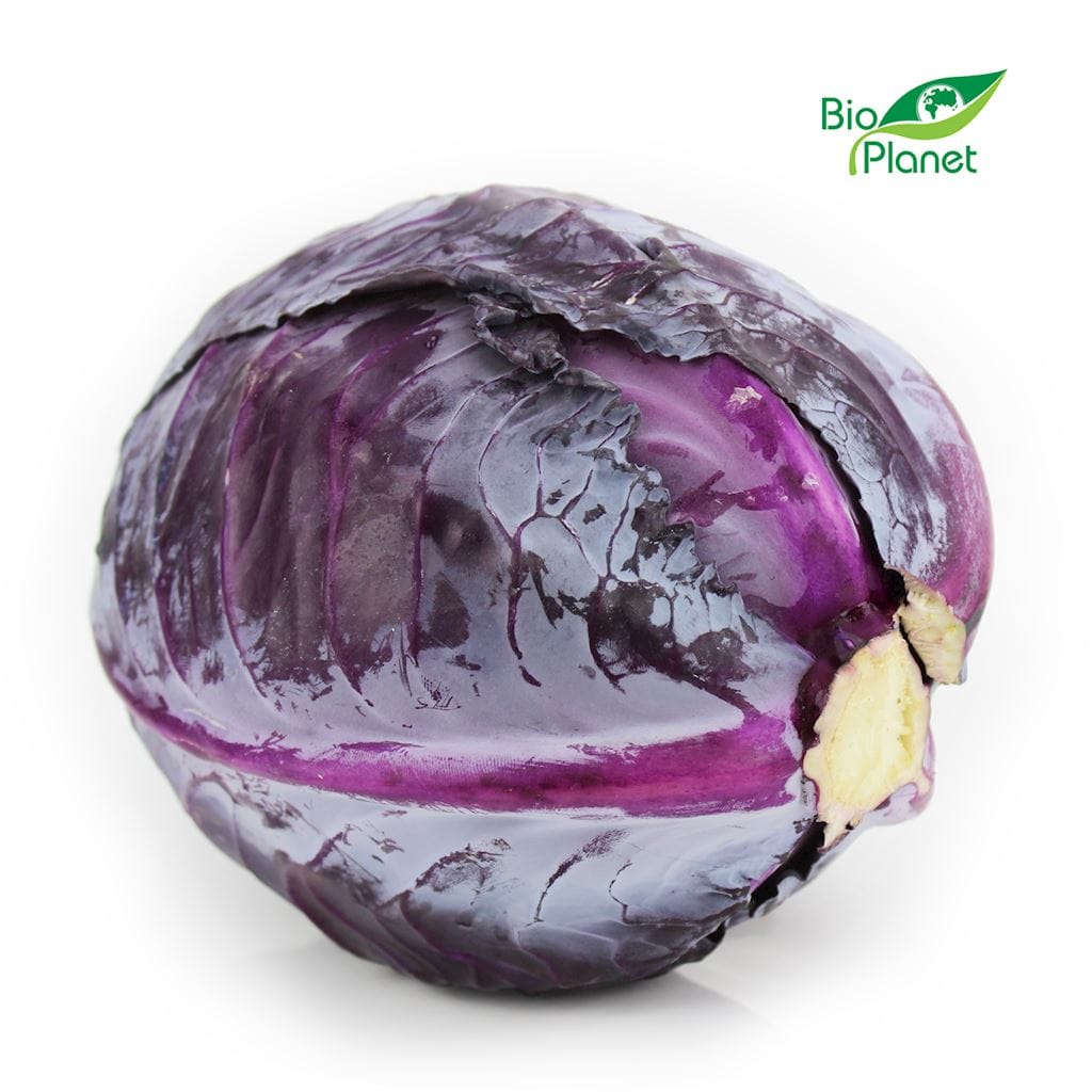 KAPUSTA CZERWONA ŚWIEŻA BIO (POLSKA) (około 1