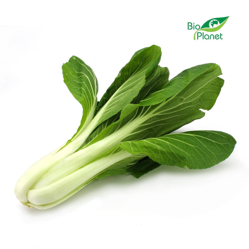 KAPUSTA PAK CHOI ŚWIEŻA BIO (około 0