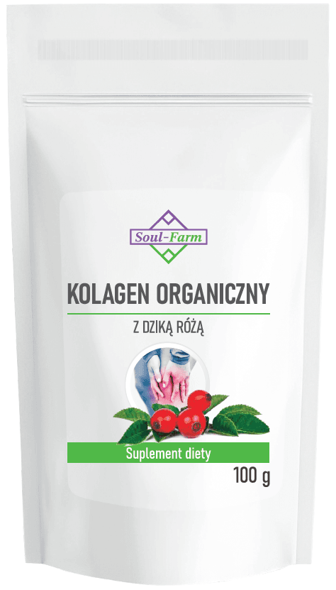 KOLAGEN RYBI Z DZIKĄ R&Oacute;ŻĄ PROSZEK 100 g - SOUL FARM