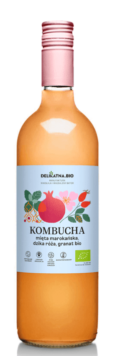 KOMBUCHA MIĘTA MAROKAŃSKA