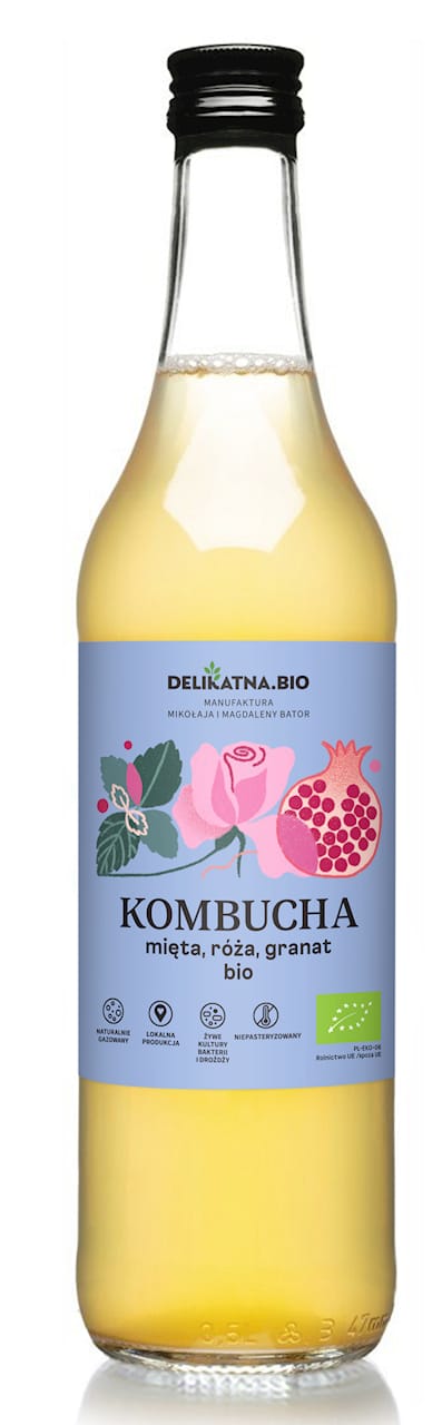 KOMBUCHA Z MIĘTĄ