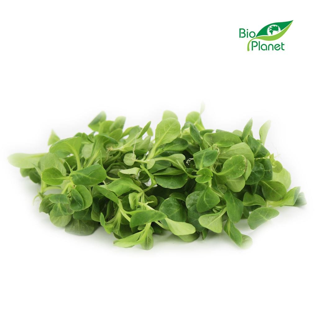 ROSZPONKA ŚWIEŻA NIEMYTA BIO (około 0