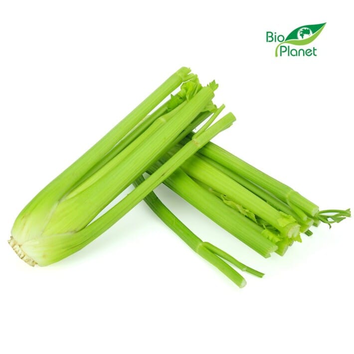 SELER NACIOWY ŚWIEŻY BIO (POLSKA) (około 0